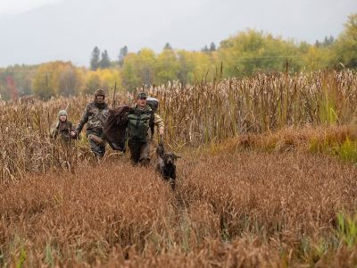 A group of UM students hunt ducks in open wetlands on a foggy morning