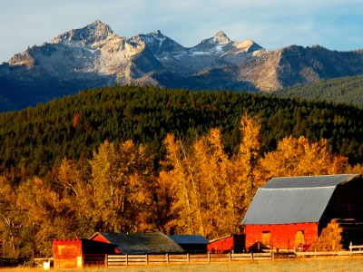 Photo of barn