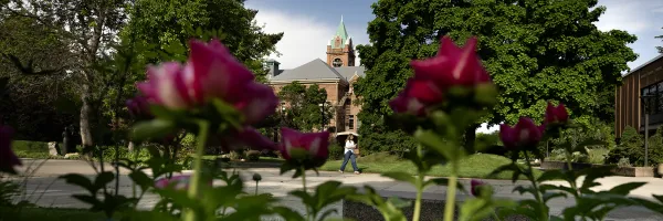 A building framed with roses 