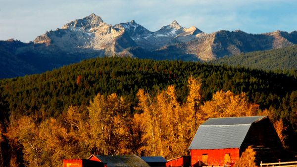 A photo of the Bitterroot Mountains