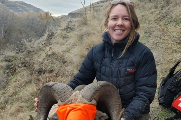 Dr. Katey Huggler smiling while sitting with a masked and tranquilized big horn sheep