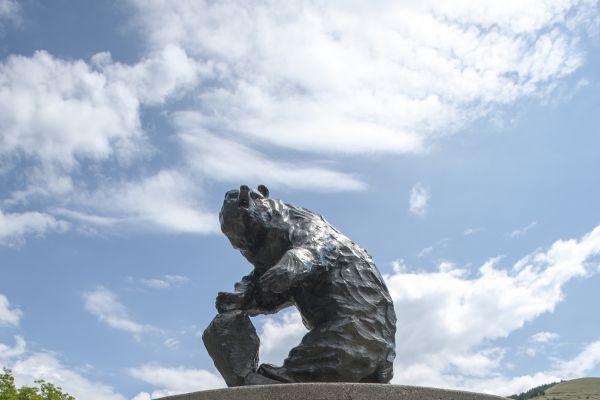 monte statue in the sun