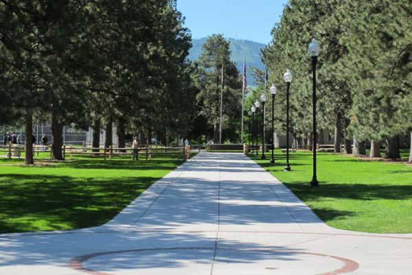 image for Roy Butzerin