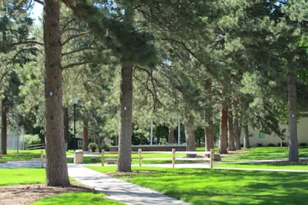 Tree image for Frederick Eitelberg