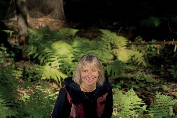 Photo of Suzanne Simard