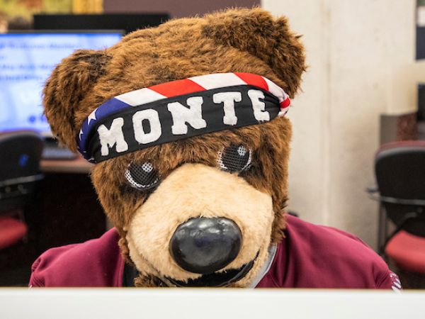 Monte the Mascot works on a computer in the Mansfield Library