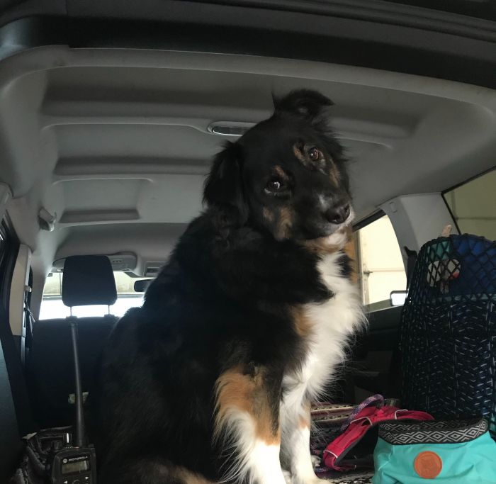 Gemma