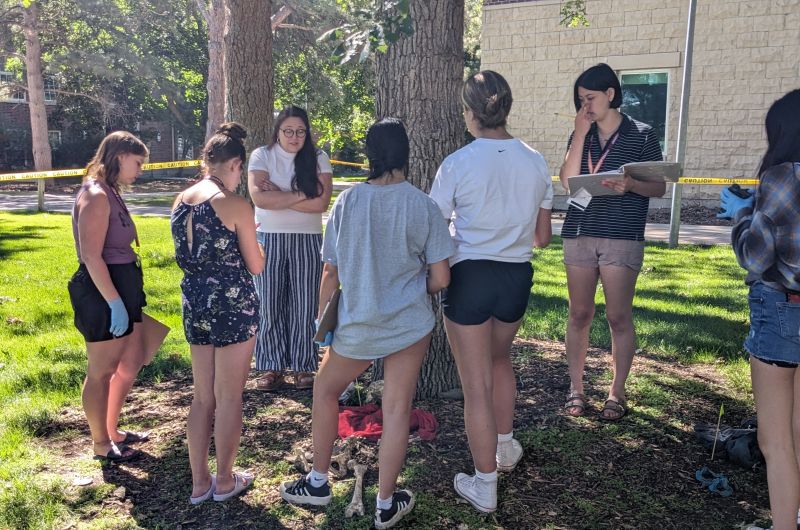 a group of students listens to an instructor by a plastic skeleton on the ground