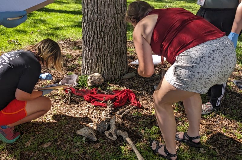 students closely look at a plastic skeleton on the ground