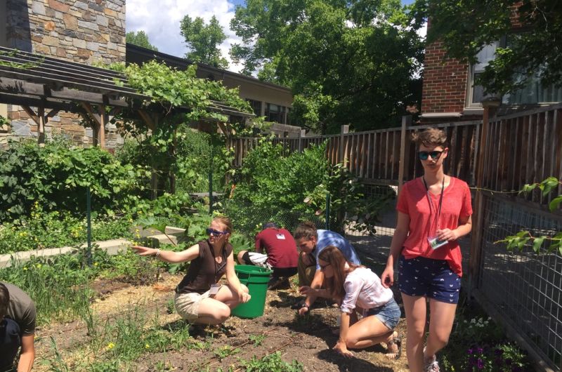 Schwanke participants working in UM garden