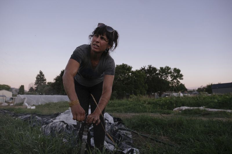 Woman bends down to adjust irrigation in field.