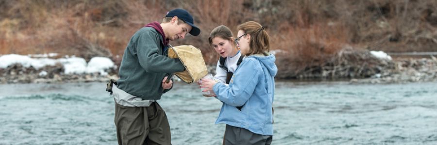 group of three students working on the bank of a river placing samples from a net into a jar