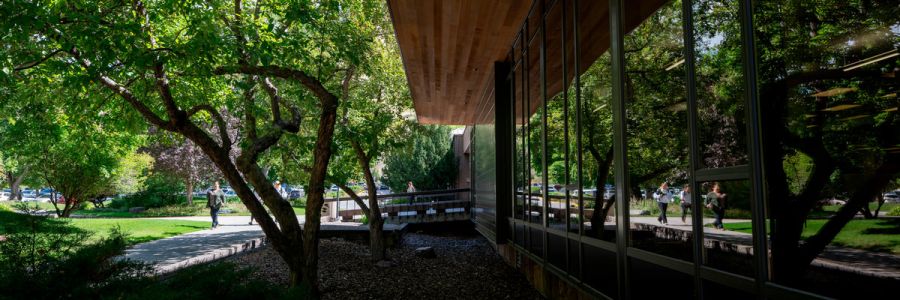A view of the library exterior outside of the Learning Commons in spring.