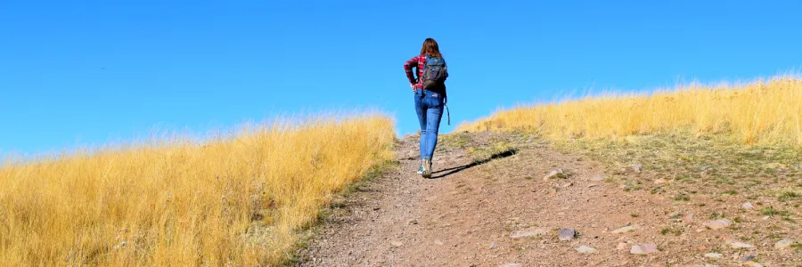 A person with a backpack hikes up a trail on Mount Sentinel near the University of Montana in Missoula under a clear blue sky.