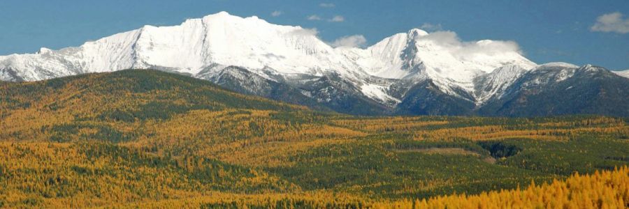 large row of snowy mountains in front of forest with autumn colored trees