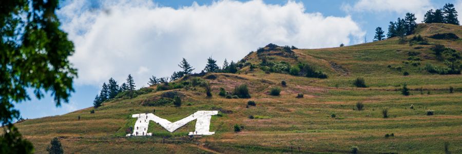 Program director with mock client