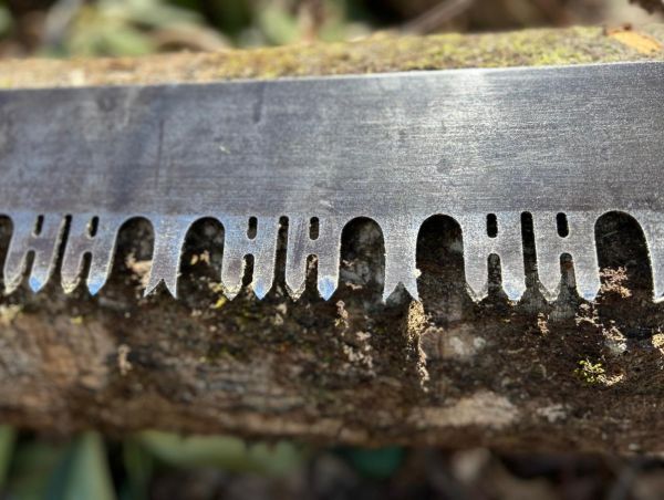 close up of a saw blade from a crosscut saw on a moss covered log