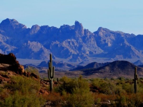 mountainous desert scene with cactus in foreground