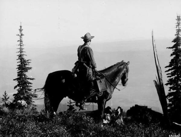 Man in 1909 Forest Service attire on horseback overlooking misty mountain landscape.